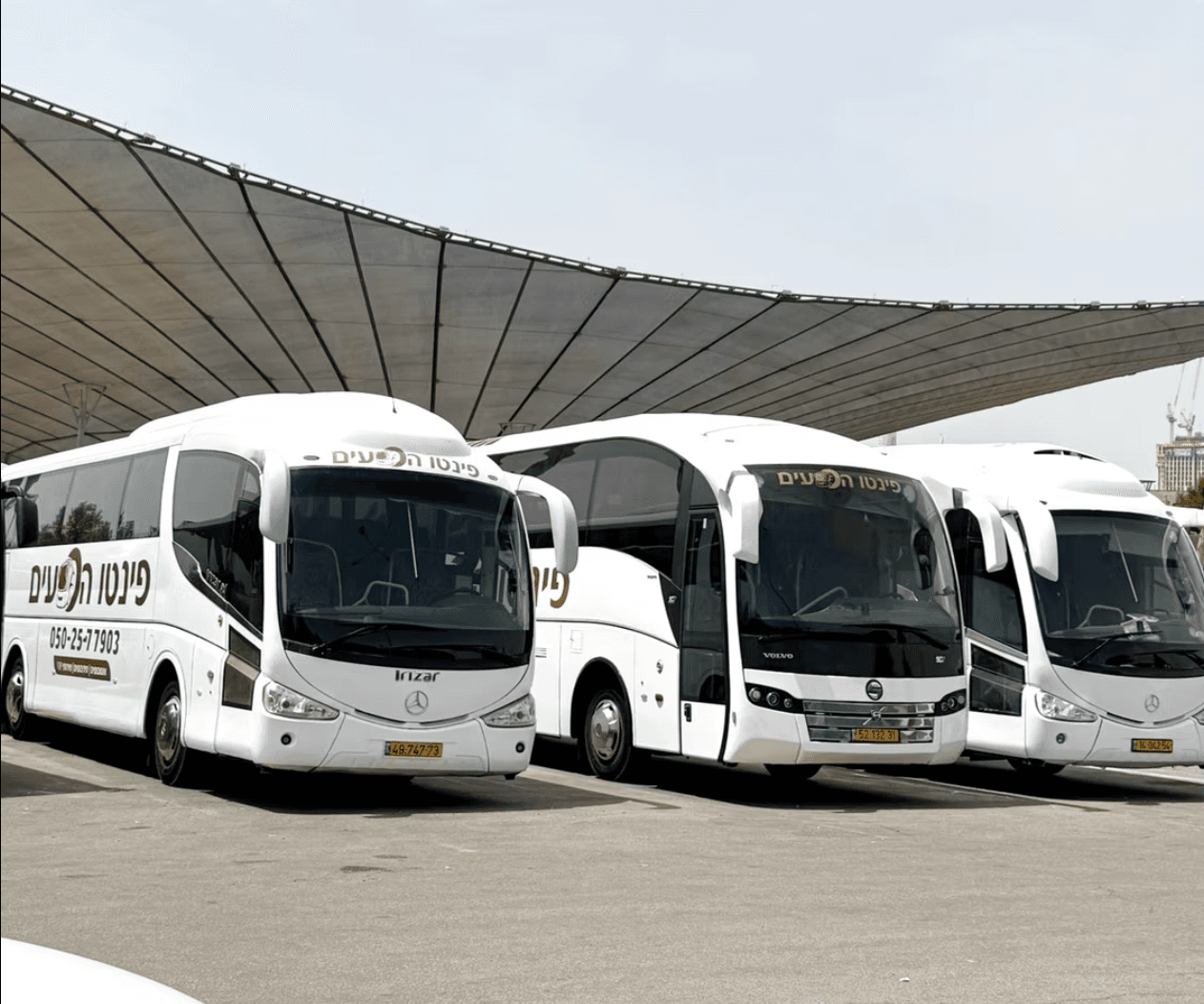 שלושה אוטובוסים של פינטו הסעים חונים יחד